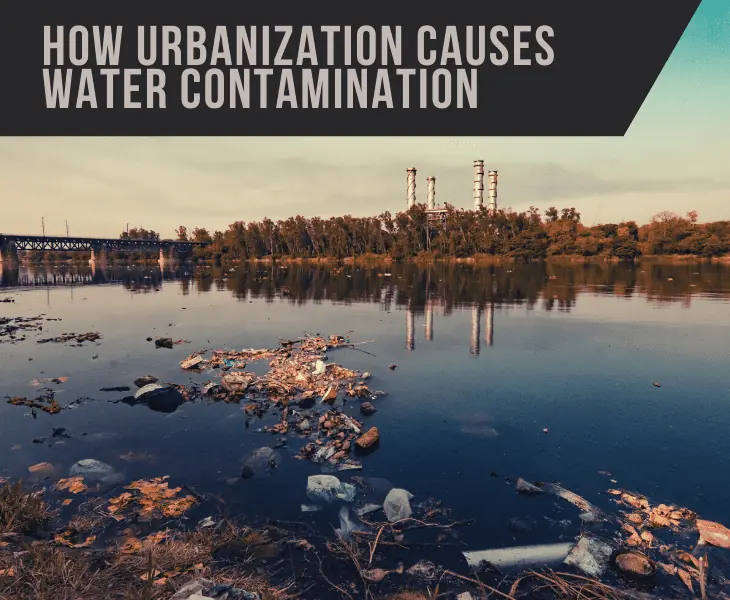 contaminated water from industrial waste