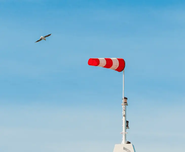 bird and windsack