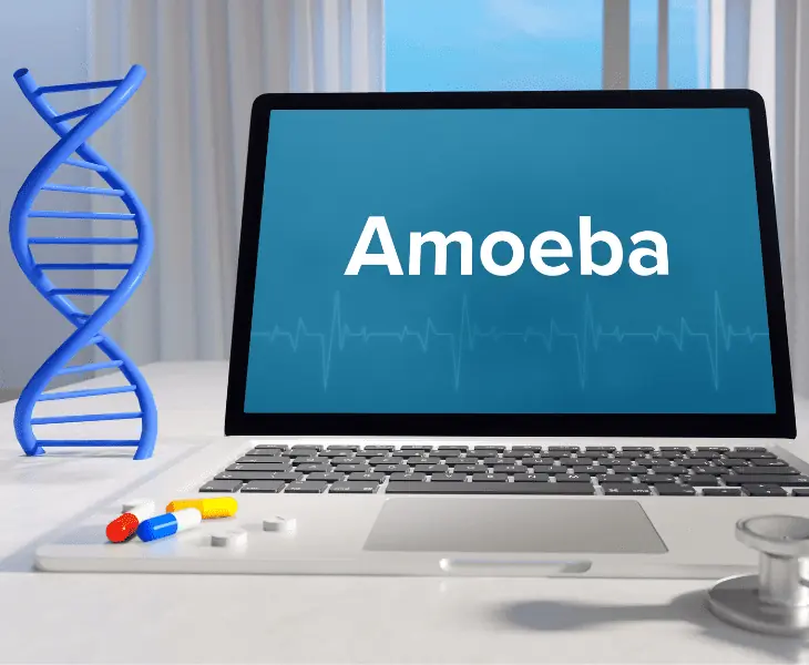 role in medical practice and research