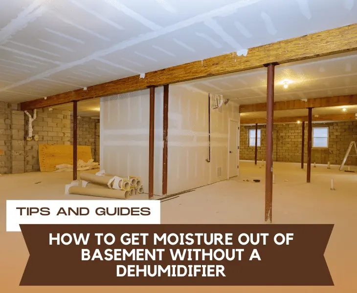 how to get moisture out of basement