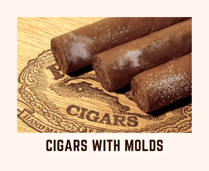 cigars with molds