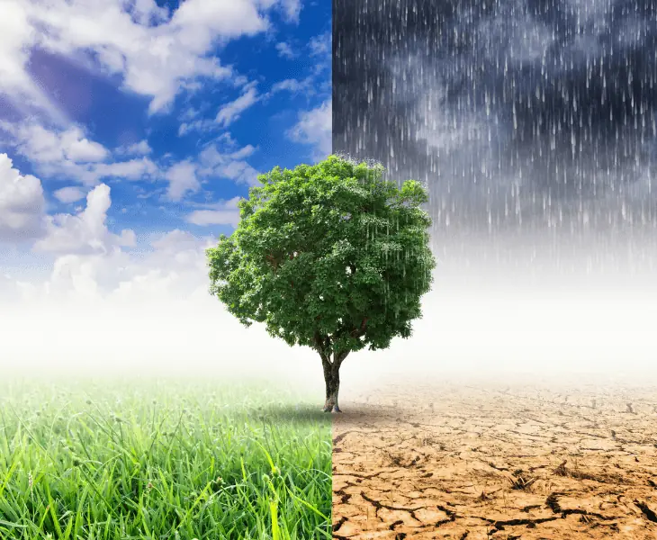 effects of co2 on the climate
