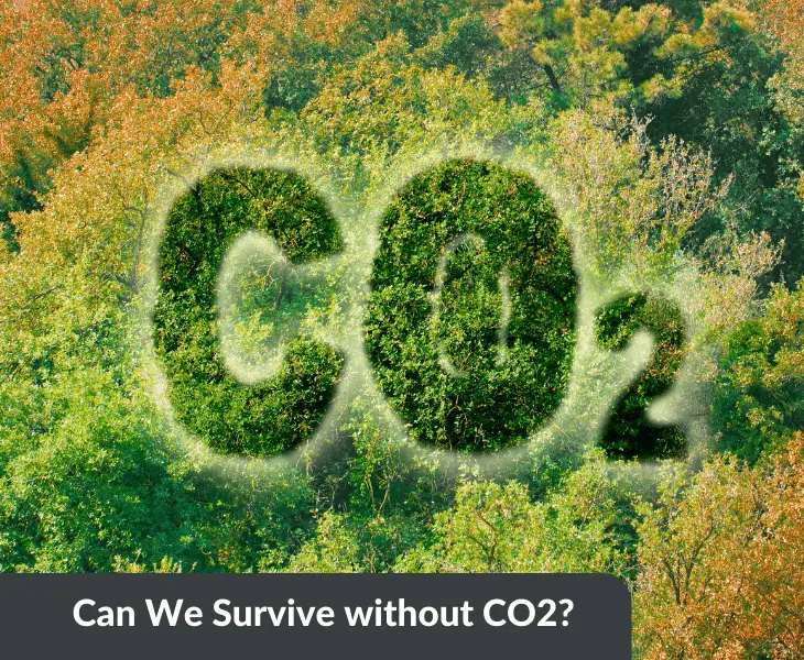 can we survive without co2