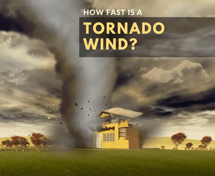 concept of devastating tornado