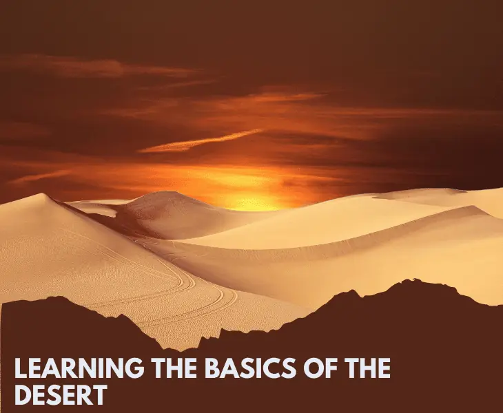 scenic view of desert