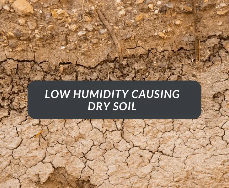 low humidity causing dry soil