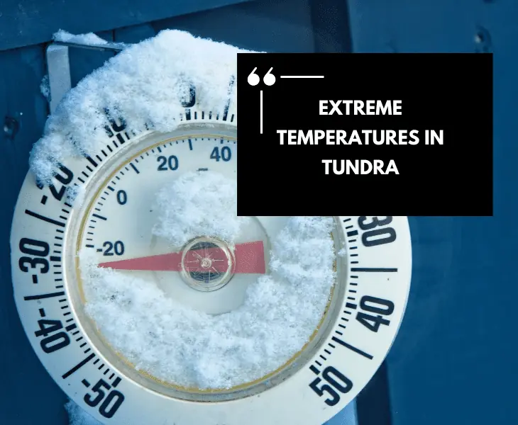 low temperature gauge