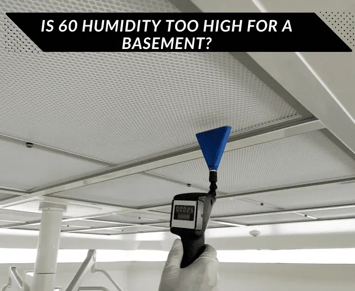 basement with high humidity