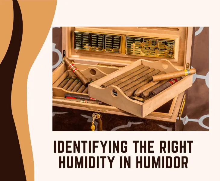 identifying the right humidity in humidor