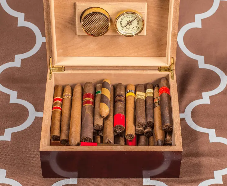 special humidor with steady temperature
