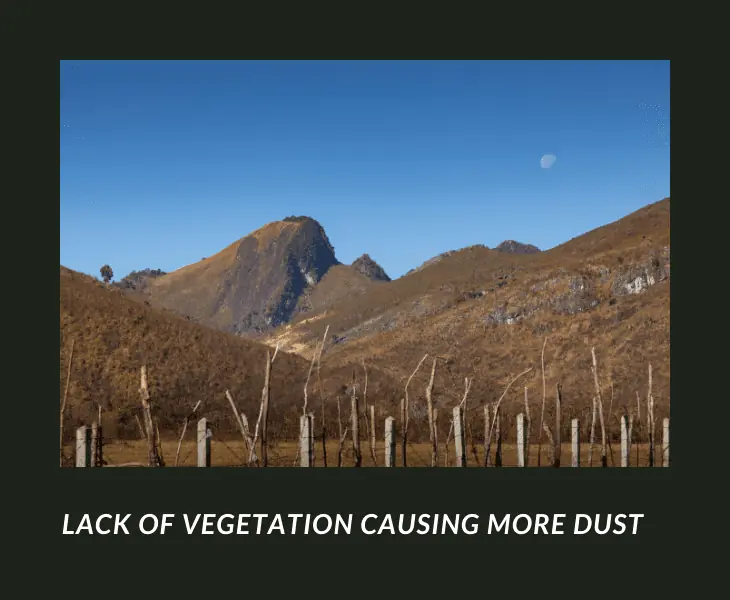 lack of vegetation causing more dust