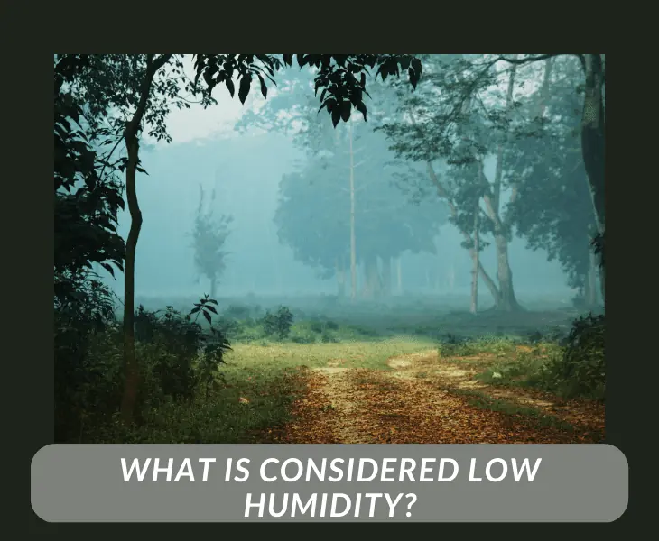 what is considered low humidity