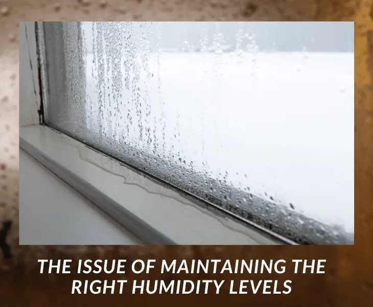 maintaining the right humidity levels