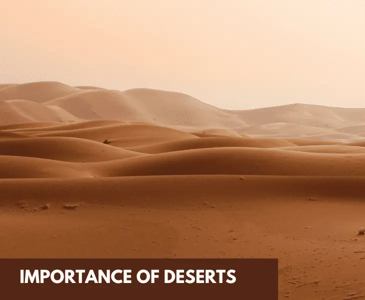 beautiful sand dunes