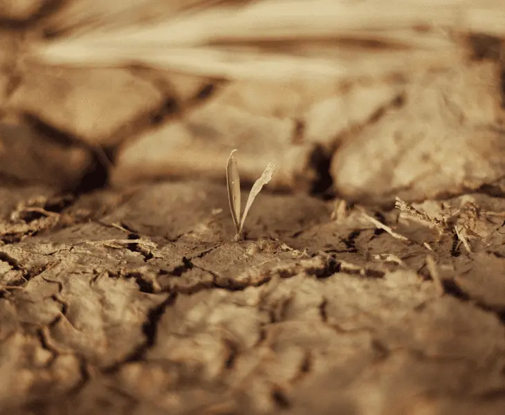 low humidity can cause soil erosion