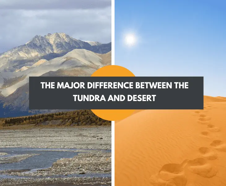 desert and tundra environment