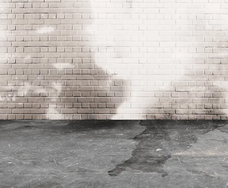 summertime dampness in the basement