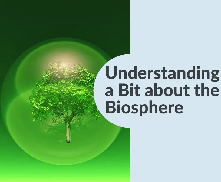 understanding a bit about the biosphere
