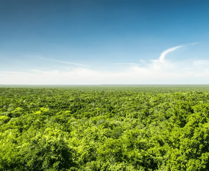 biosphere and the atmosphere