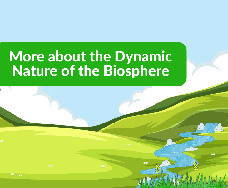 dynamic nature of the biosphere