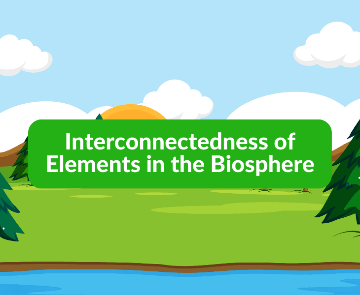 interconnectedness of elements in the biosphere