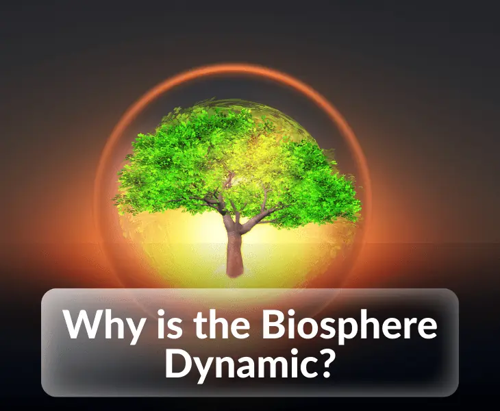 why is the biosphere dynamic