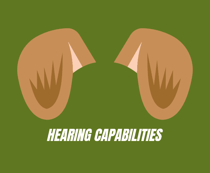 hearing capabilities