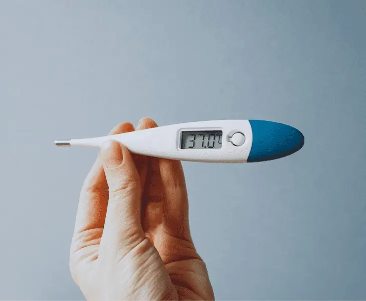 more about digital thermometers