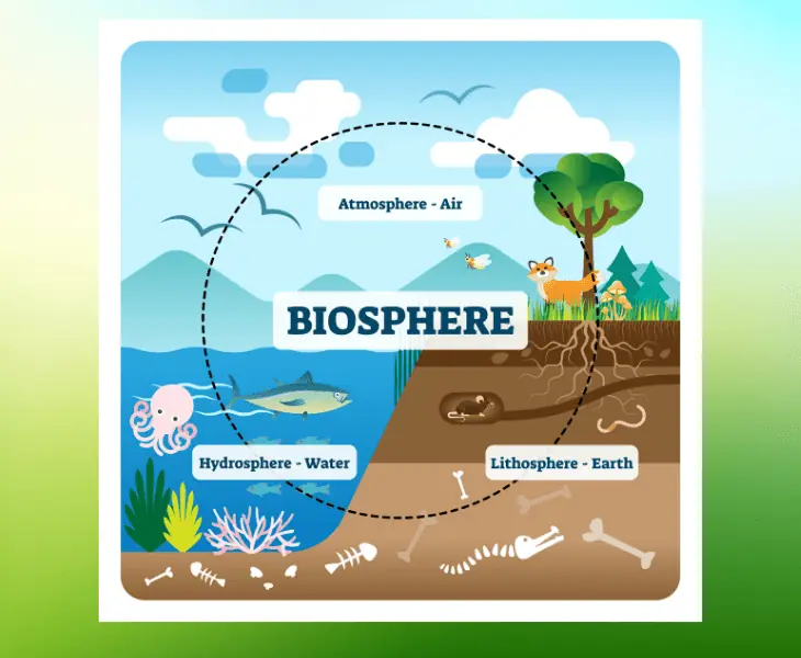reasons why biosphere is dynamic
