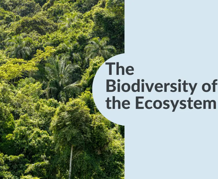 the biodiversity of the ecosystem