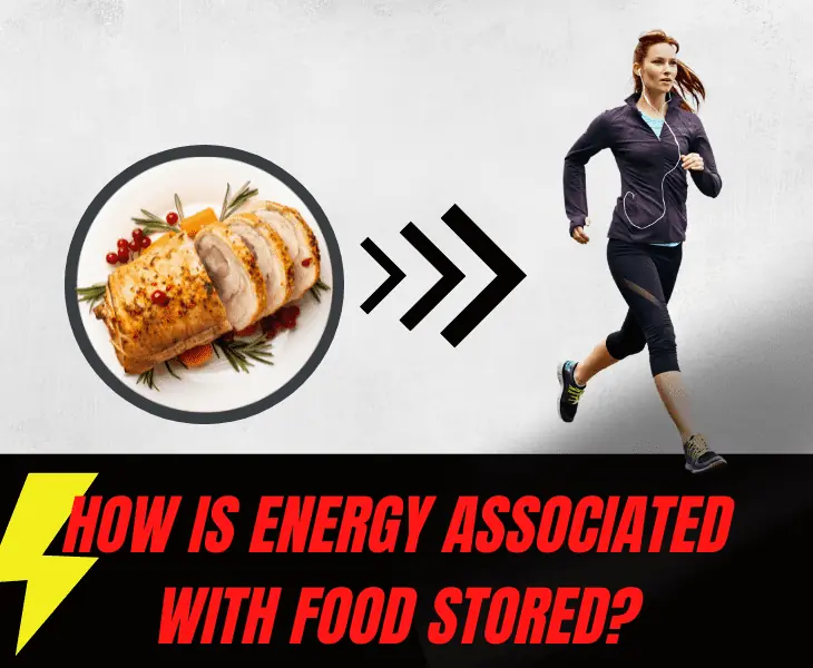 how is energy associated with food stored