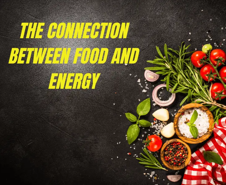 the connection between food and energy