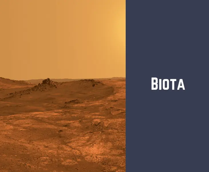 biota on mars