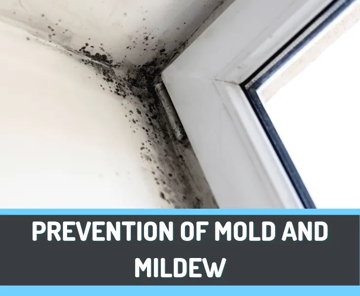 prevention of mold and mildew