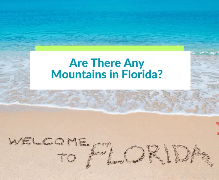 are there any mountains in florida