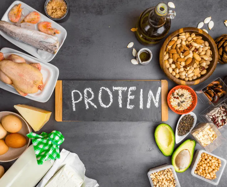 protein