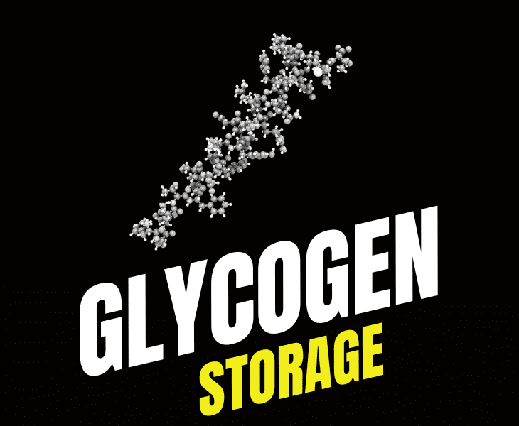 glycogen storage