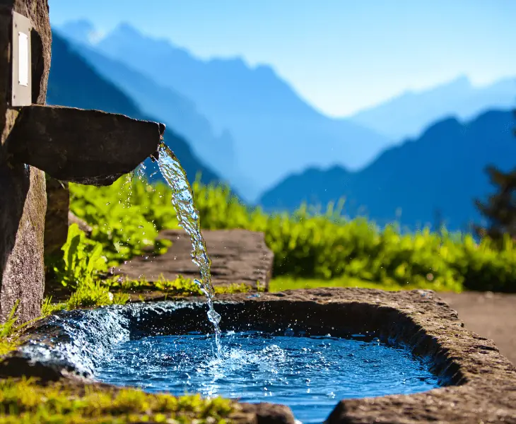the impure tap water