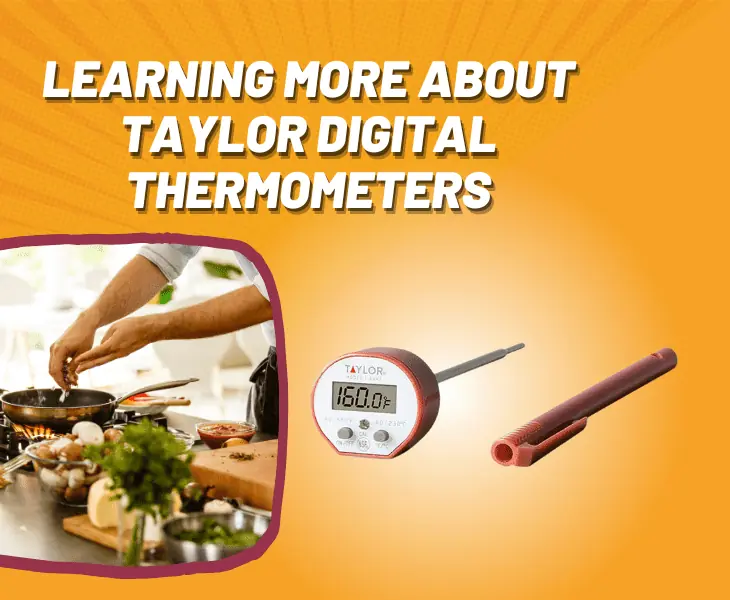 learning more about taylor digital thermometers