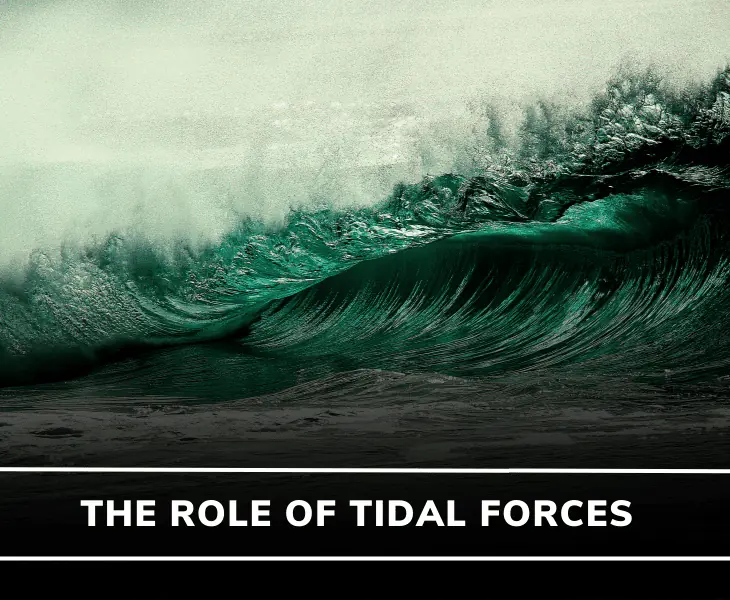 the role of irregular surfaces 