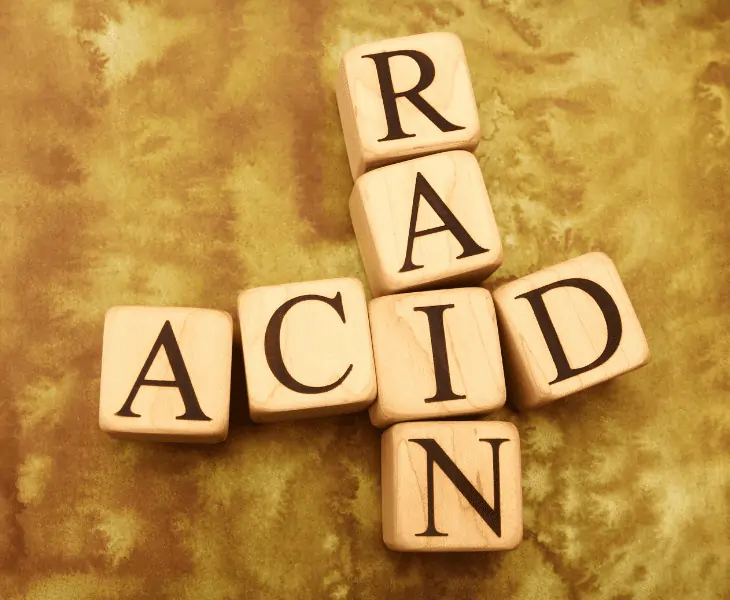 acid rain and physical weathering