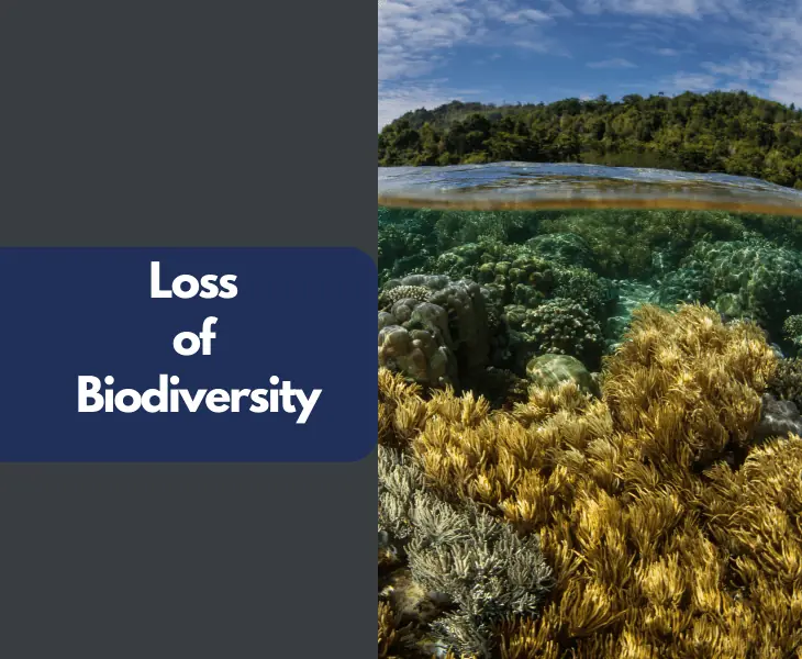 loss of biodiversity