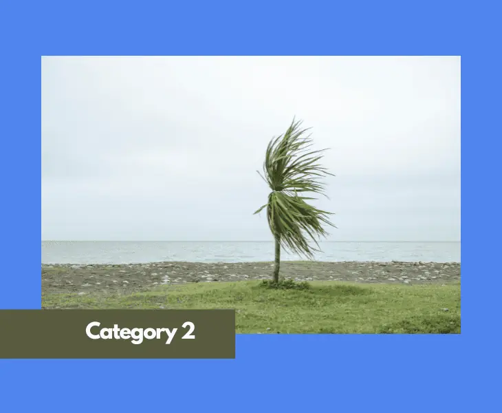 scale category 2