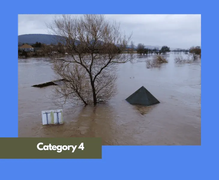 scale category 4