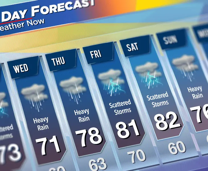 forecast check & preparation alert
