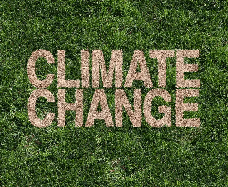 climate change