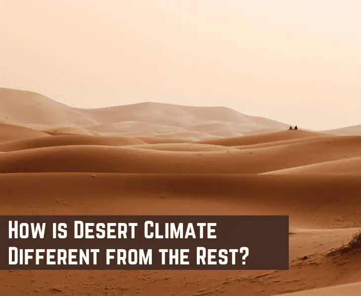 how desert climate different from the rest