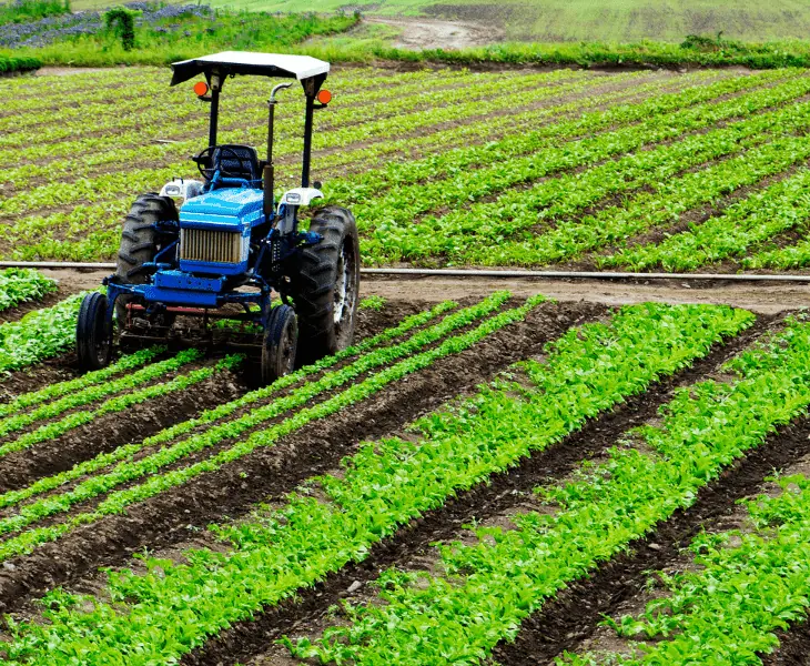 agriculture and gardening