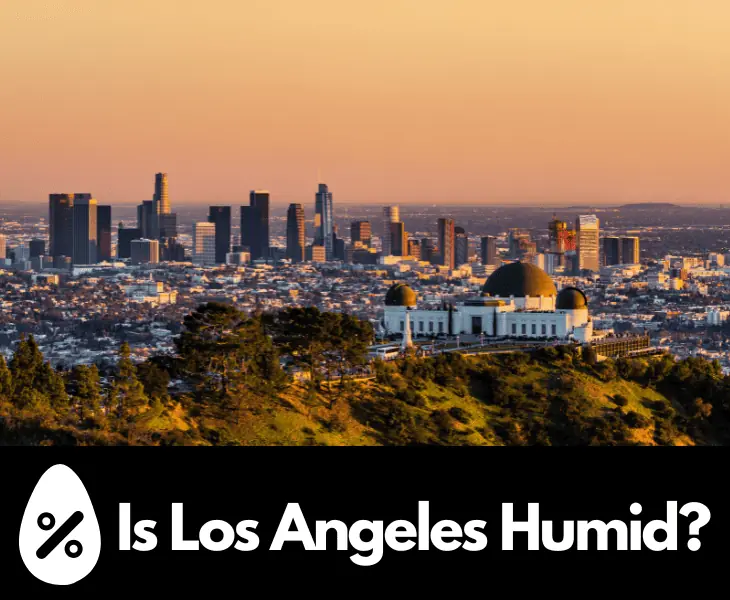 is los angeles humid