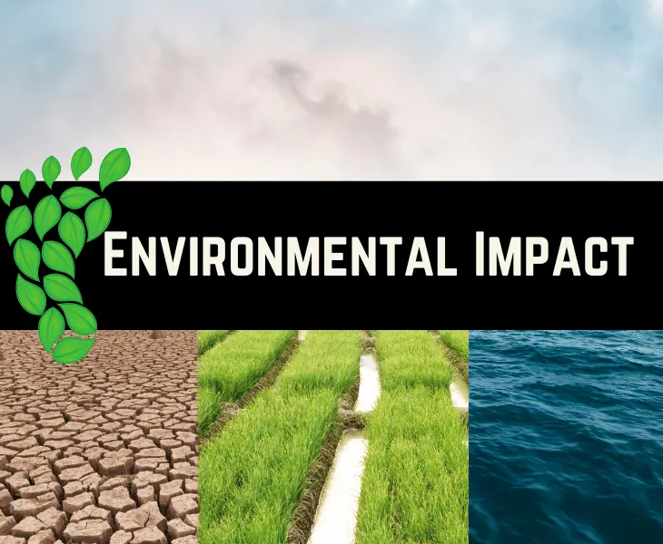 environmental impact